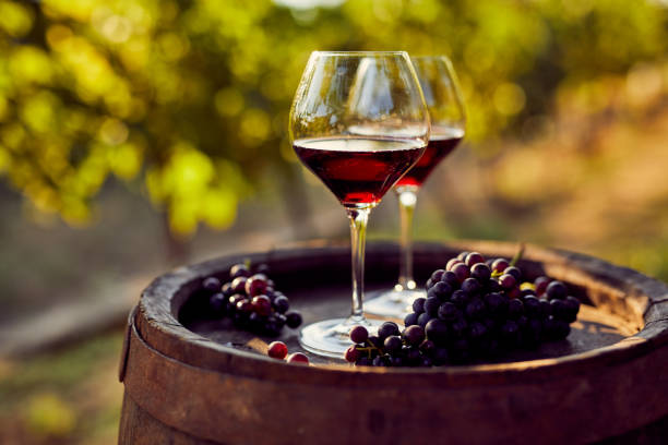 nos vins de millau