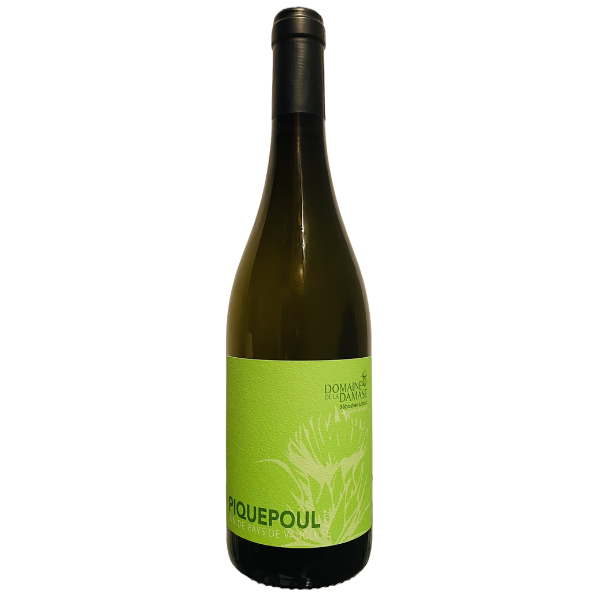 Piquepoul 2025 | Domaine de Damase | IGP Vin de pays du Vaucluse